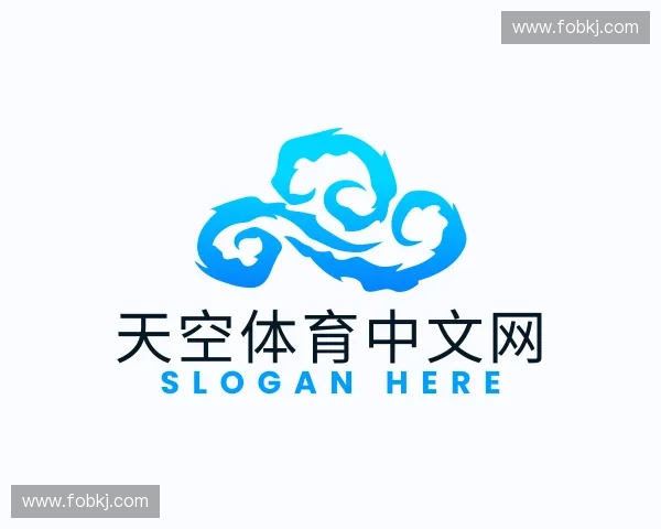 认识天空体育中文网